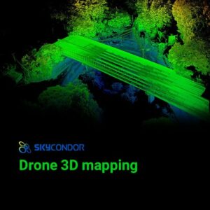 Drone 3D mapping